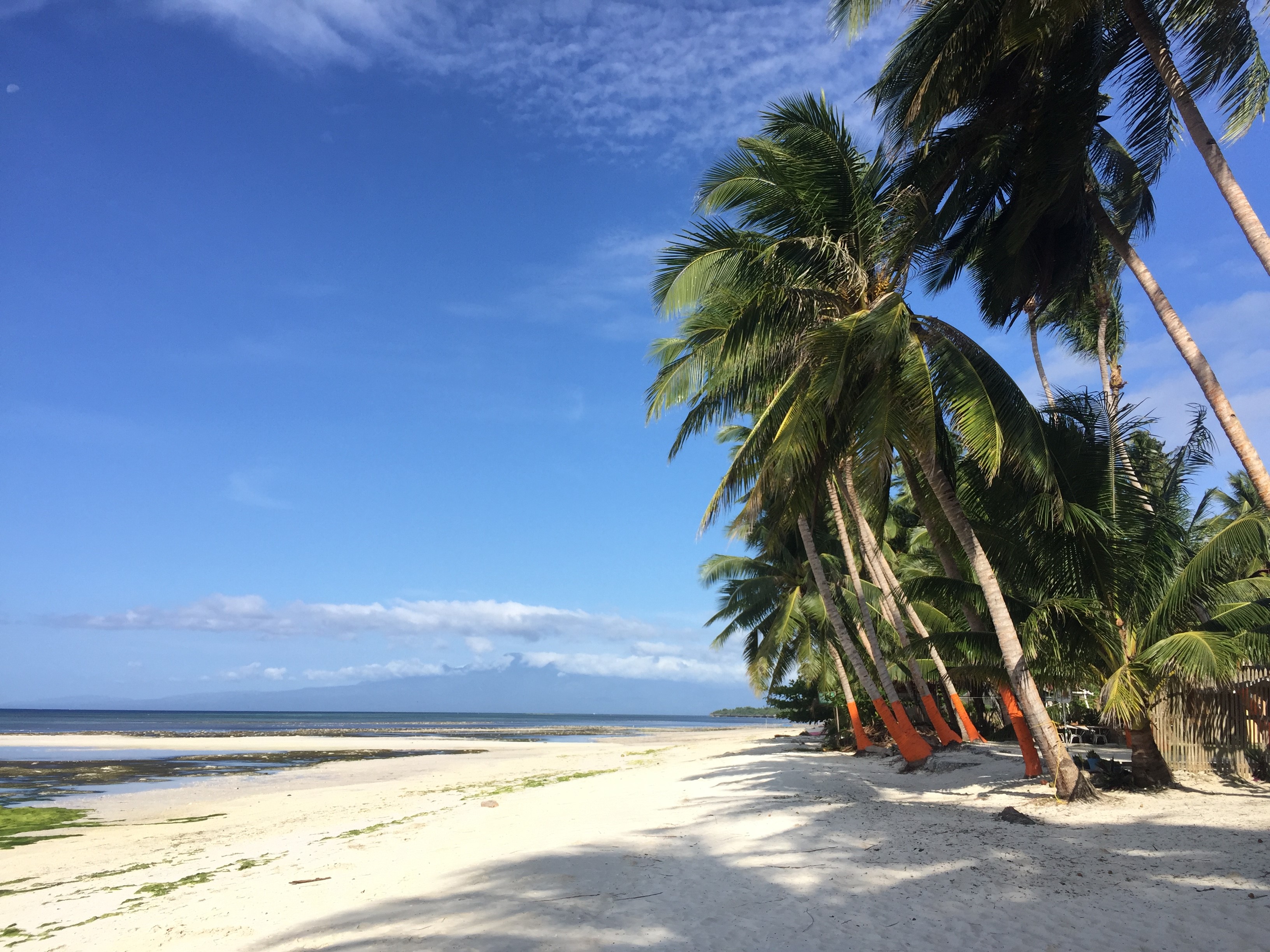 Hidden Paradise of  the Philippines: Siquijor
