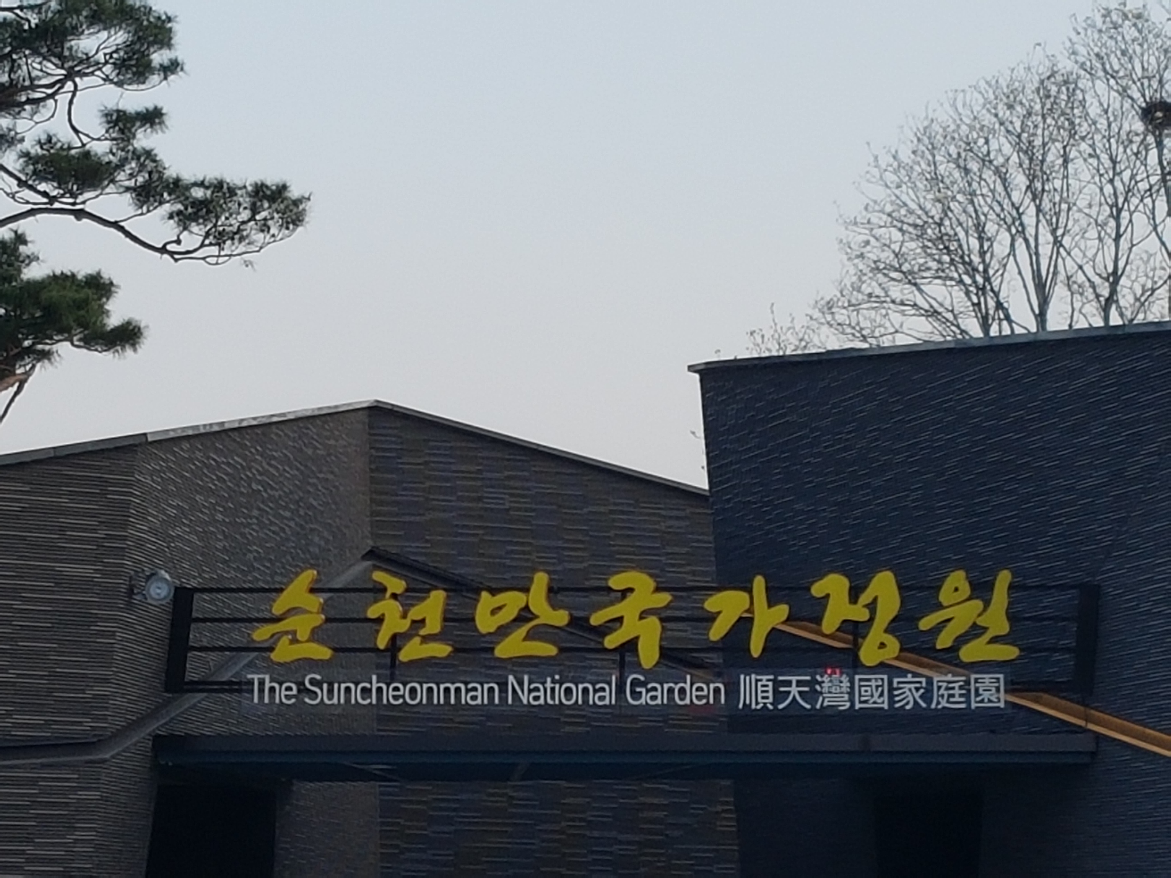 The Joys of Spring: A Day at Suncheon Bay National Garden