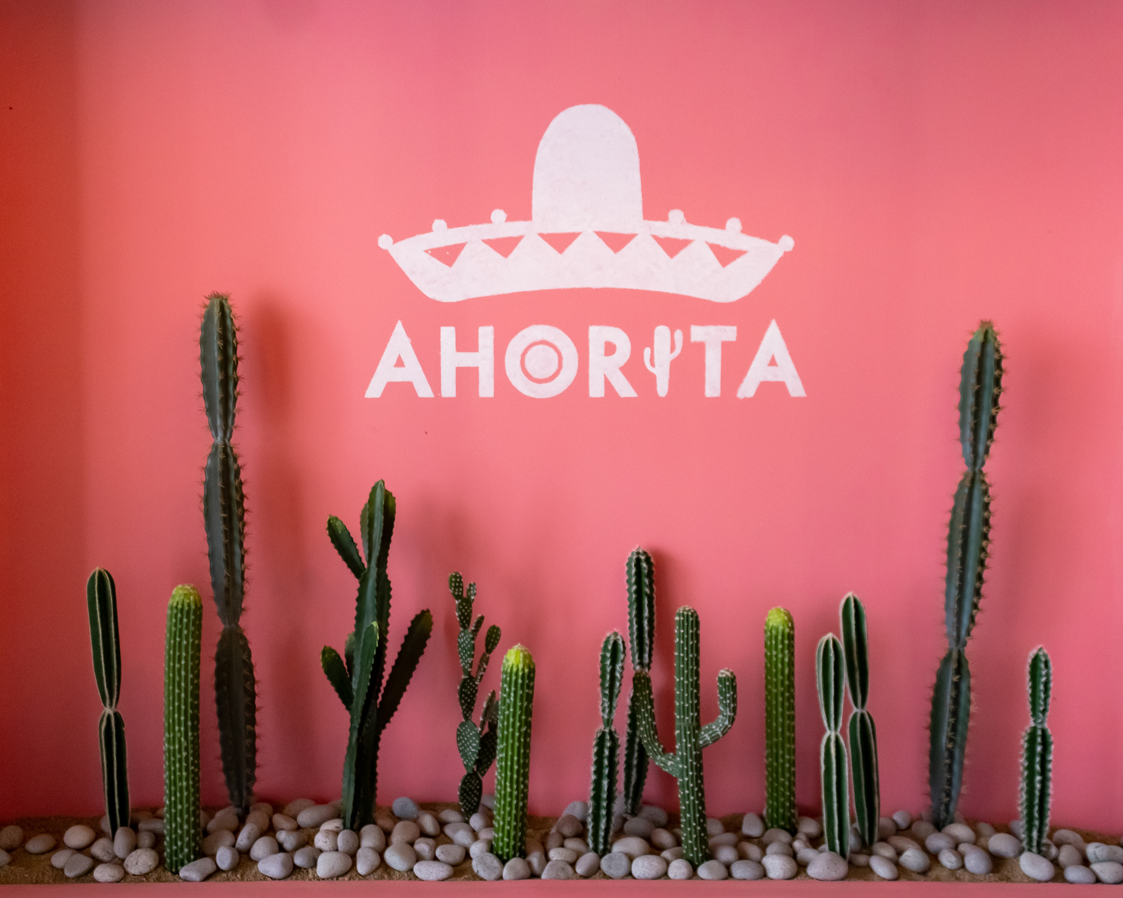 Ahorita: A Taste from South of the Border