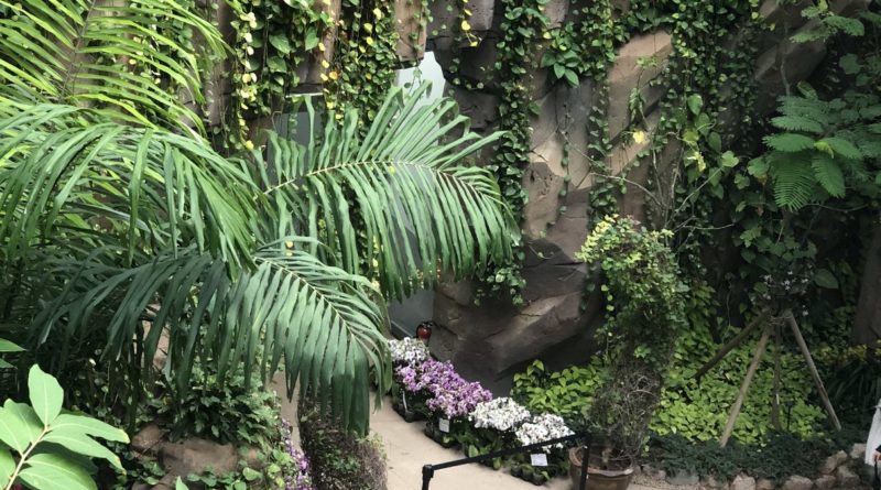 Indoor Botanical Garden Archives Gwangju News Online