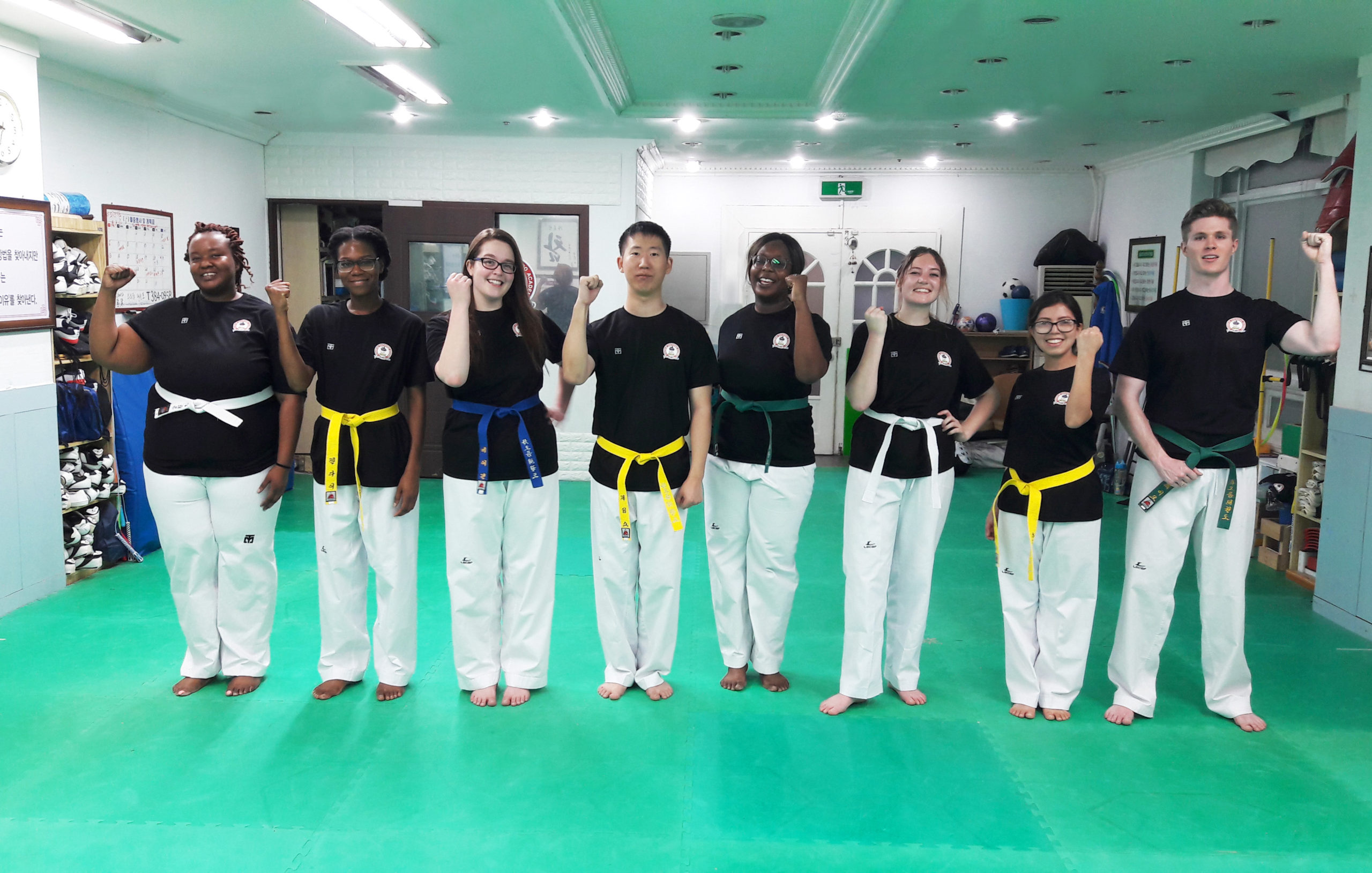 Taekwondo  Classes – Taught in English
