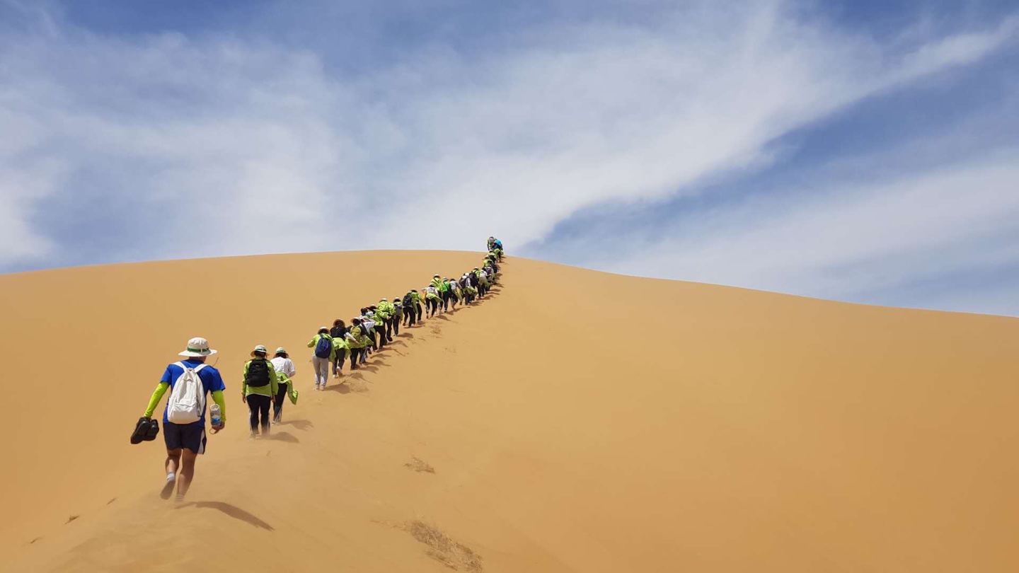 Volunteering in the Kubuqi Desert