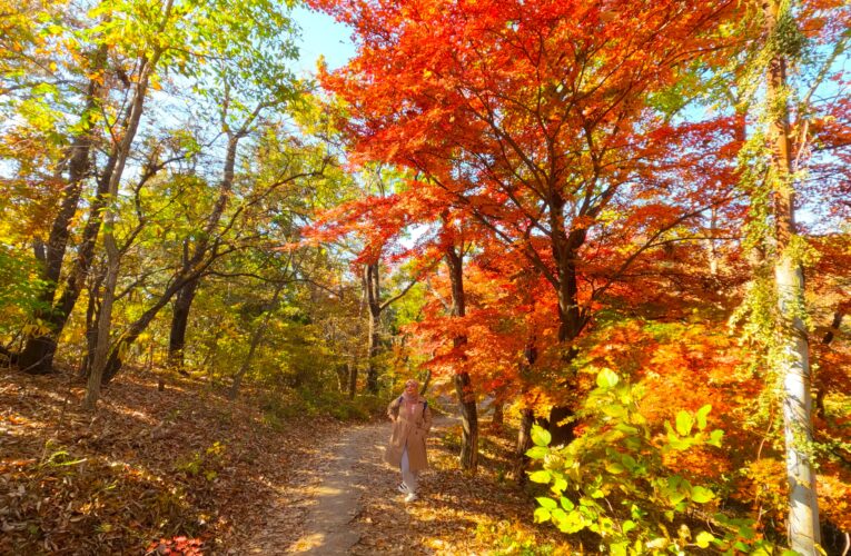 Fall in Love with Gwangju This Autumn