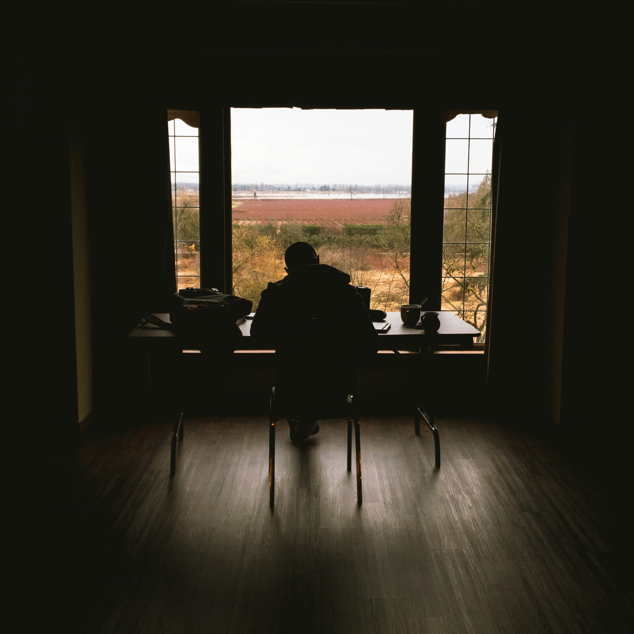 The Immigrant’s Holiday