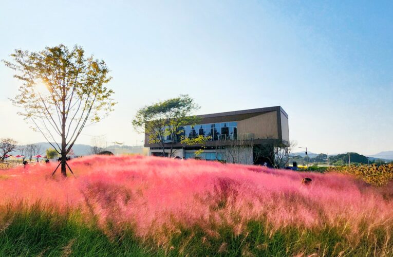 Café The Haru: Where Art, Light, and Nature Meet