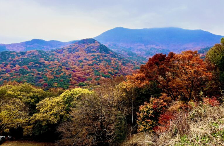 Exploring Korea: The Colors of Calm – Exploring Mudeung-san in Autumn