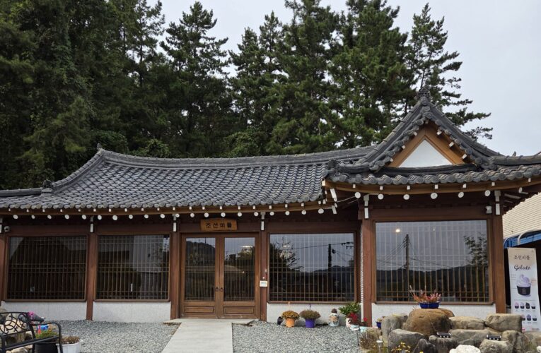 D’s Café Column: Stepping into the Joseon Era – A Cultural Café Experience