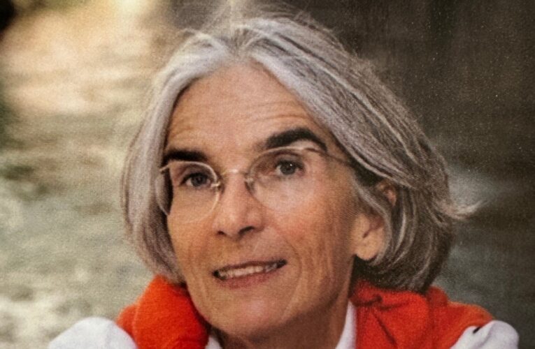 Book Review: Transient Desires