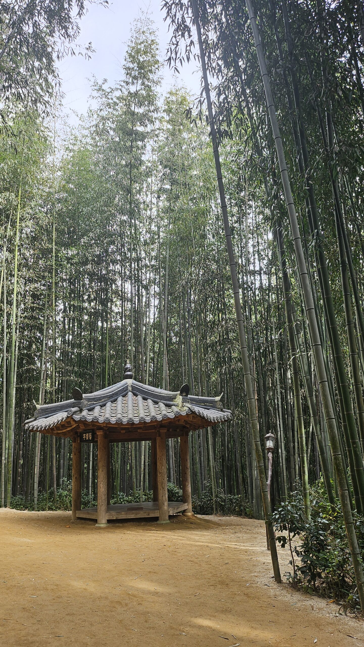 A Breath of Fresh Air: Jungnok-won Bamboo Forest