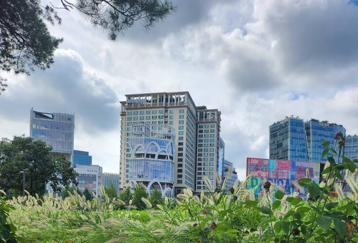 Creative Writing: Love, Loss, and a Snickers Bar in Seoul