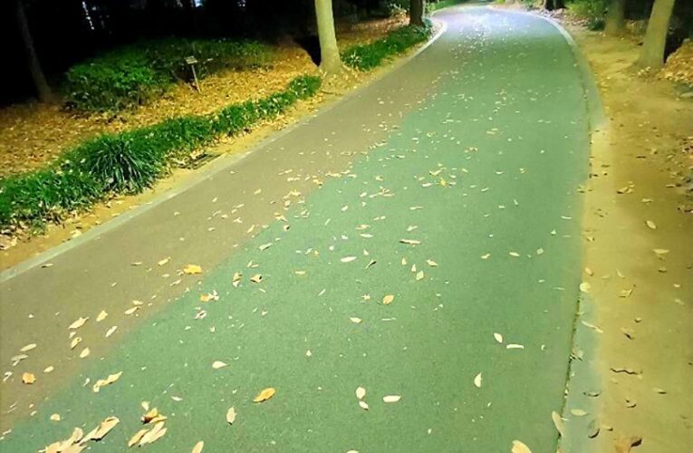 From the Editor – December 2025