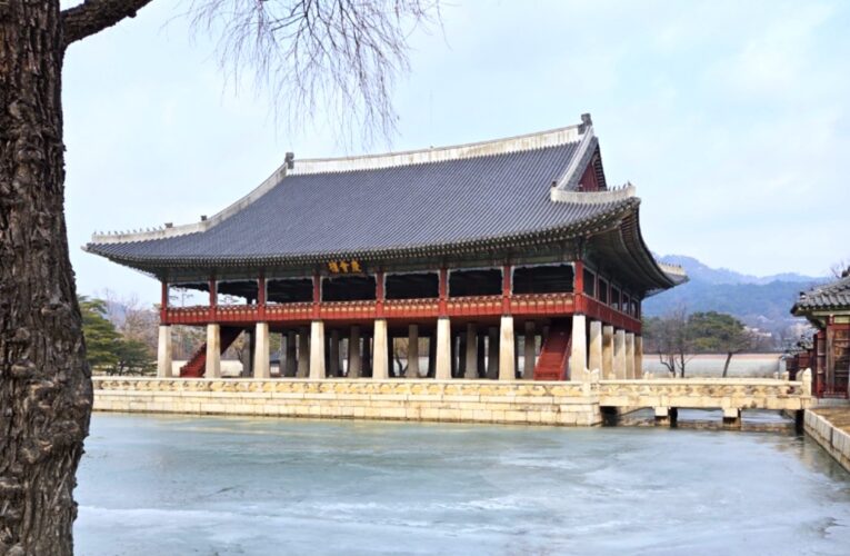 Photo of the Month – January 2026