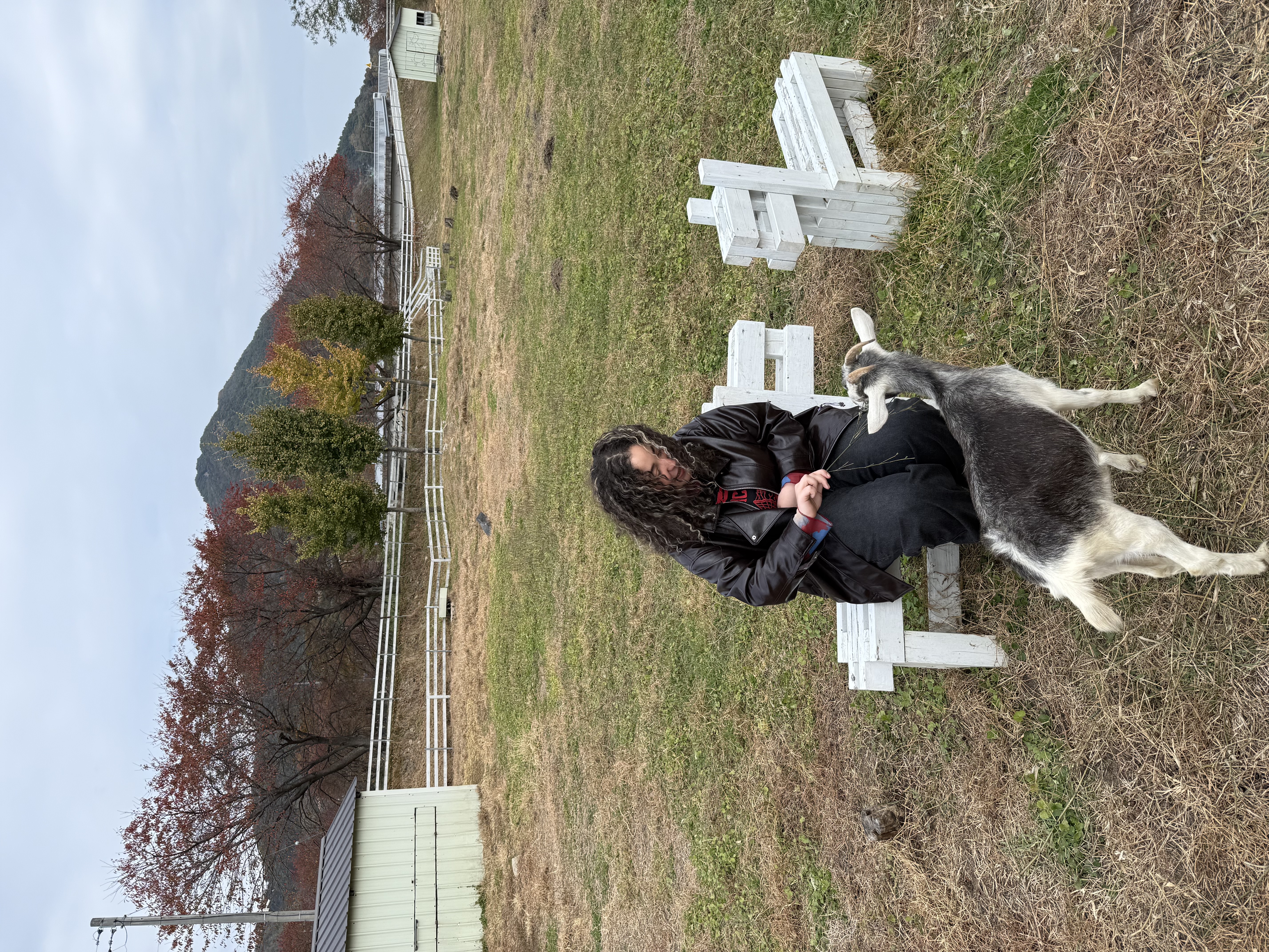 A Story of Hope and Rural Craftsmanship: Namwon’s Seed of Hope Farm