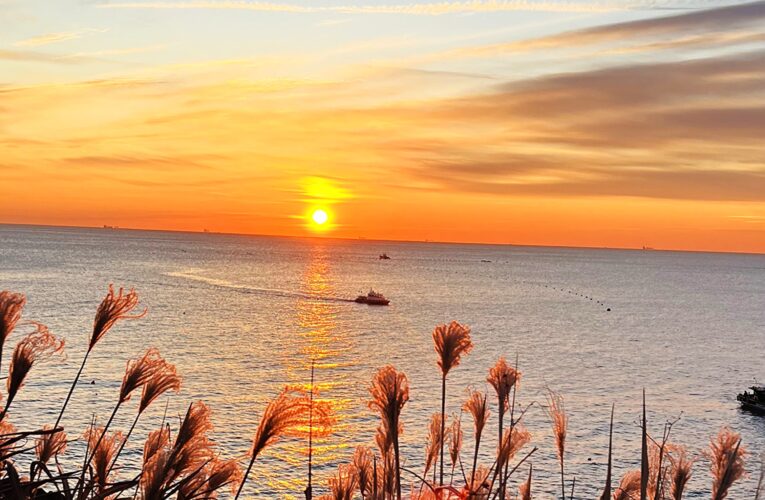 Photo of the Month – February 2026