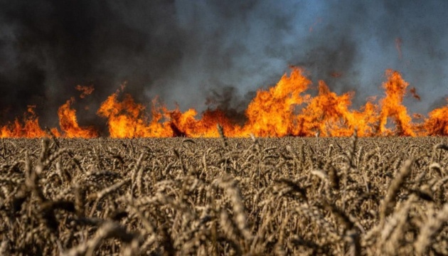 The Price of Bread: Attack on Ukraine’s Fields Impact the World