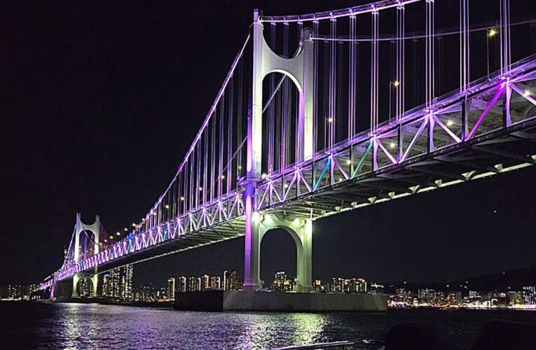 Photo of the Month – March 2026