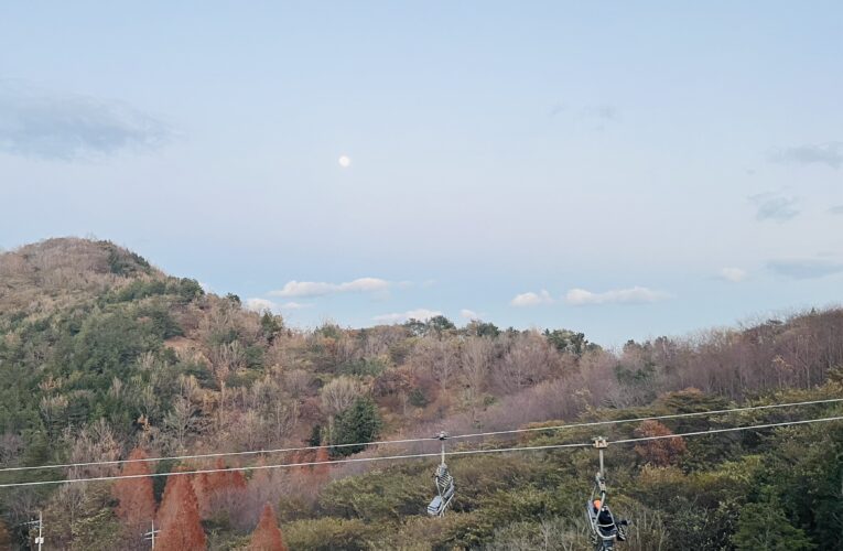 Exploring Korea: A Winter Escape to Yeosu – 3D Art, Speed, and Midnight Roads