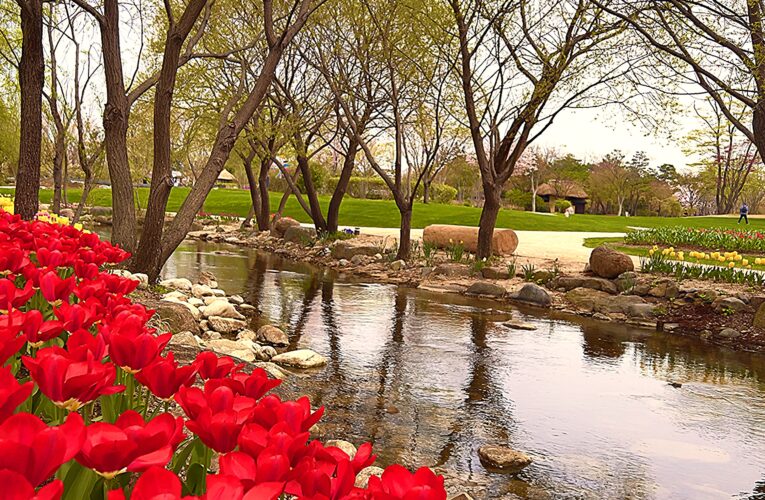 Photo of the Month – April 2026