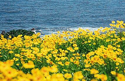 Beyond Cherry Blossoms: Under-Appreciated Ways to Enjoy Spring in Korea