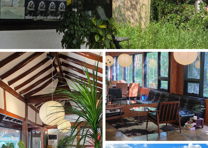 D’s Café Column: Sojuklim – A Spacious Pet-Friendly Café for a Relaxing Day Out