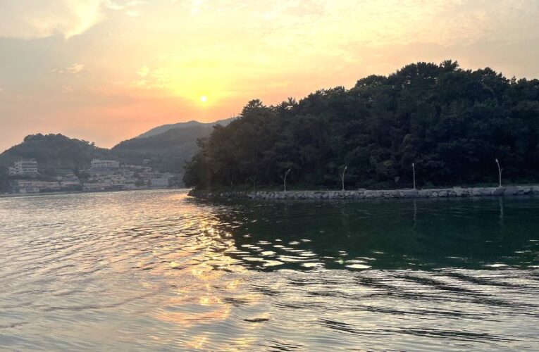 Yeosu by the Sea: A Journey of Friendship and Night Lights